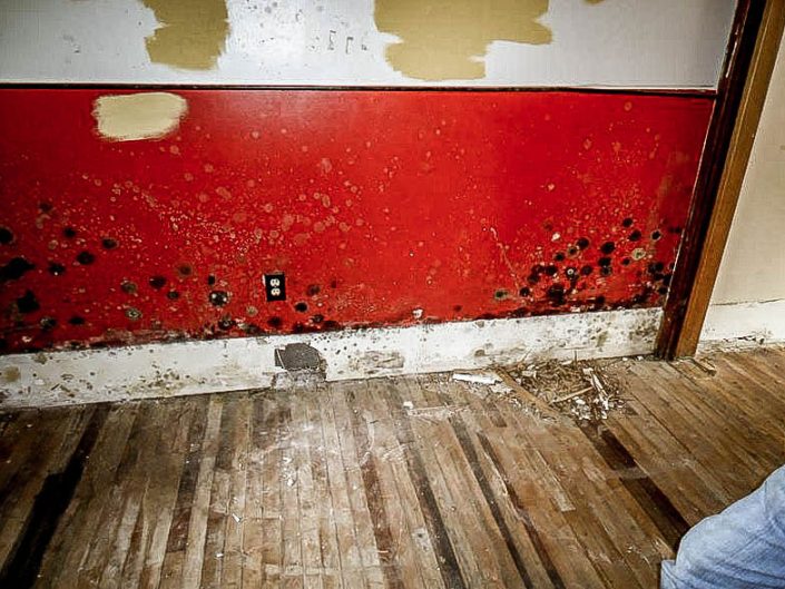 Mold Paneling