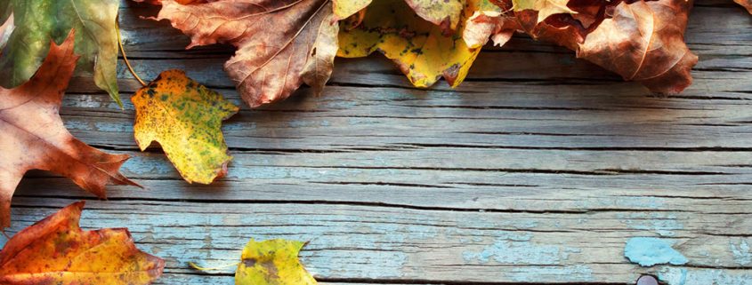 How to Prevent Mold in Autumn