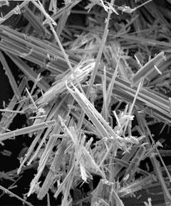 Asbestos Fibers